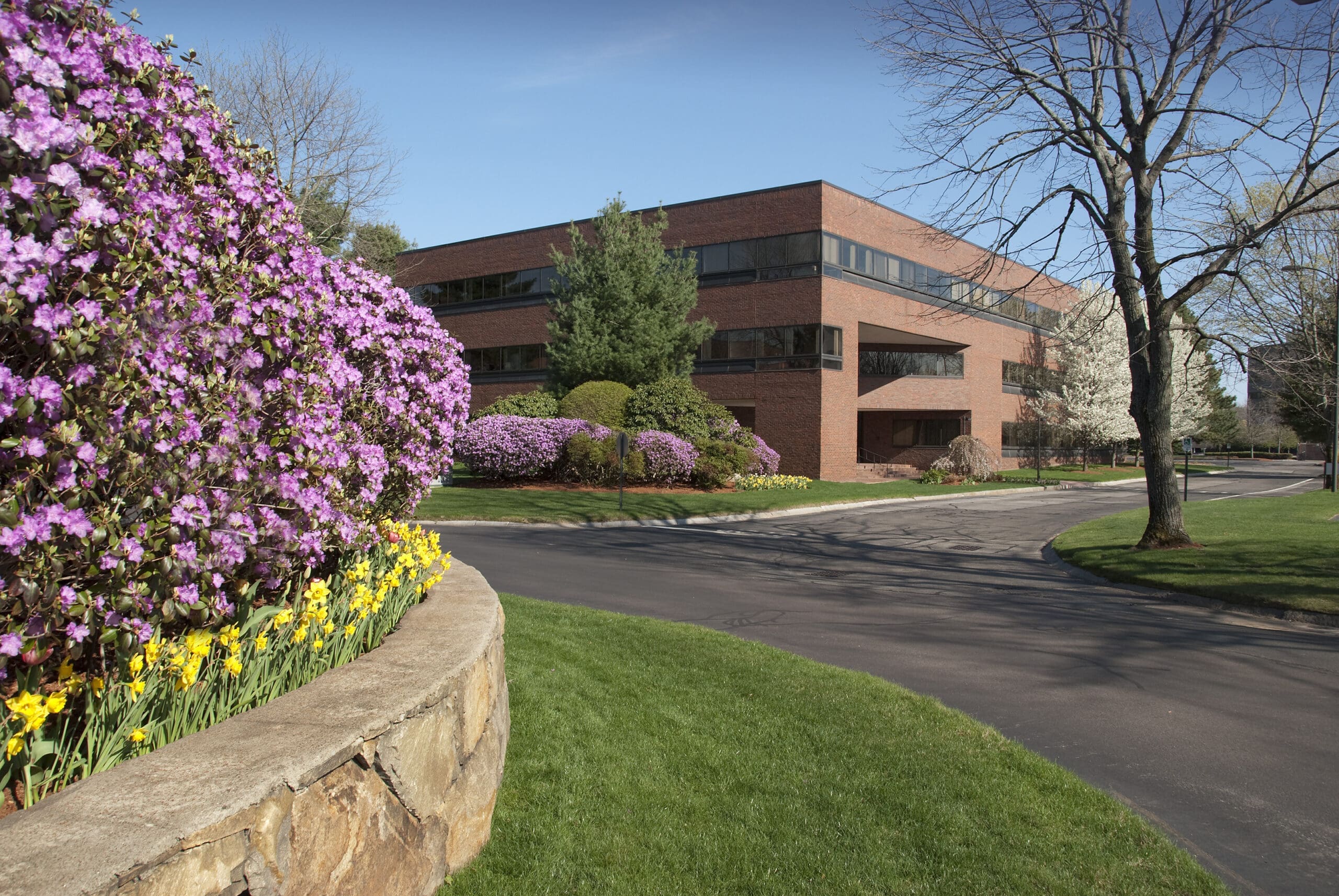 Baltimore, MD Commercial Snow Removal Companies