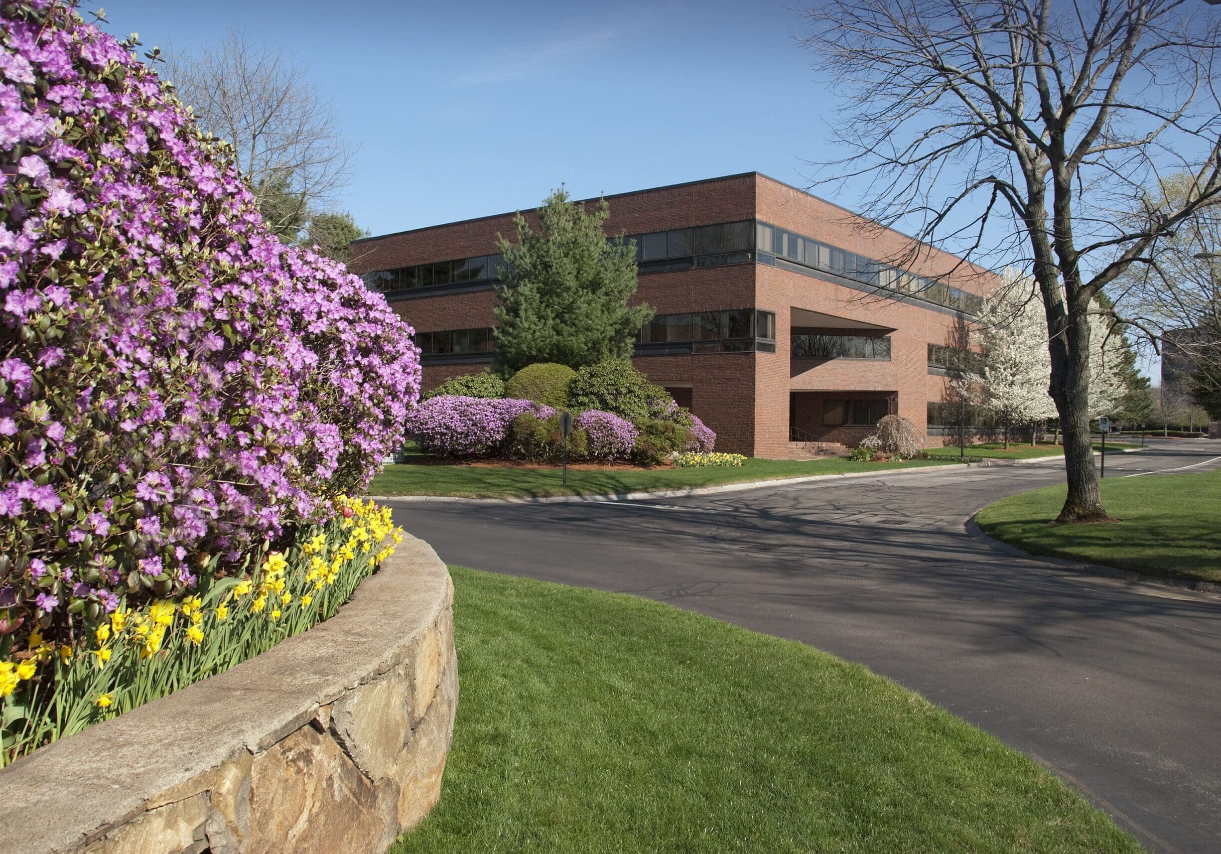 Baltimore, MD Commercial Snow Removal Companies